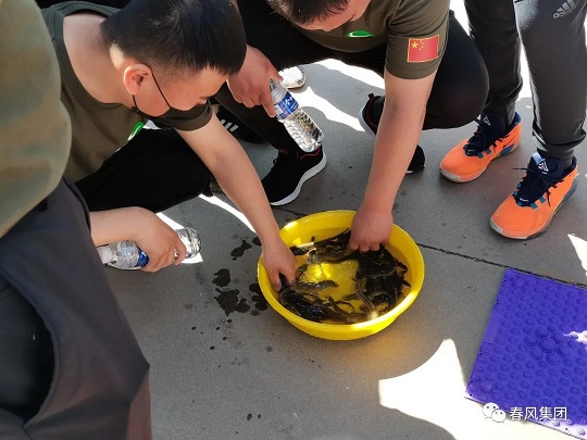 香港内部正版资料免费